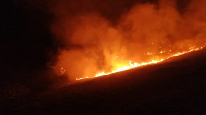 Bodrum da korkutan yangın... 1,5 hektar kül oldu!