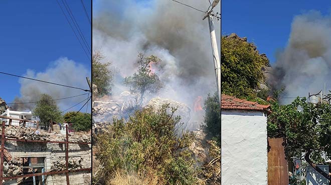 Bodrum da makilik alanda yangın çıktı!