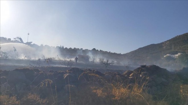Bodrum da makilik yangını söndürüldü
