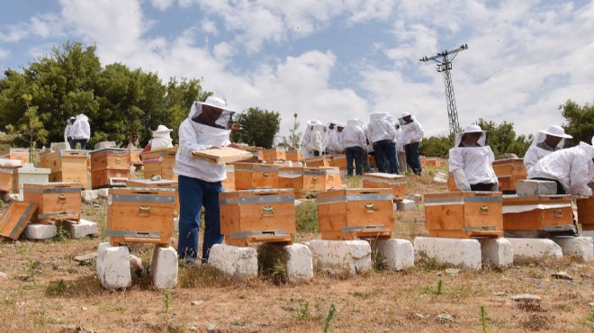 Bornova Belediyesi nden arı üreticisine  bal  gibi destek!