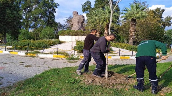 Bornova da yeşil çalışma... 5 yılda 13 bin ağaç!