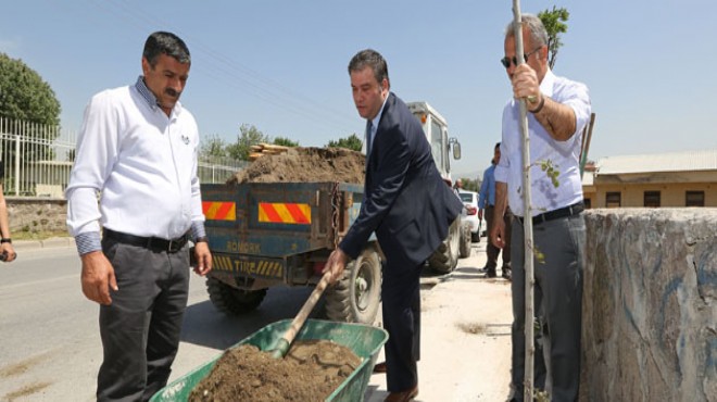 Buca’da hedef 3 yılda 20 bin ağaç!