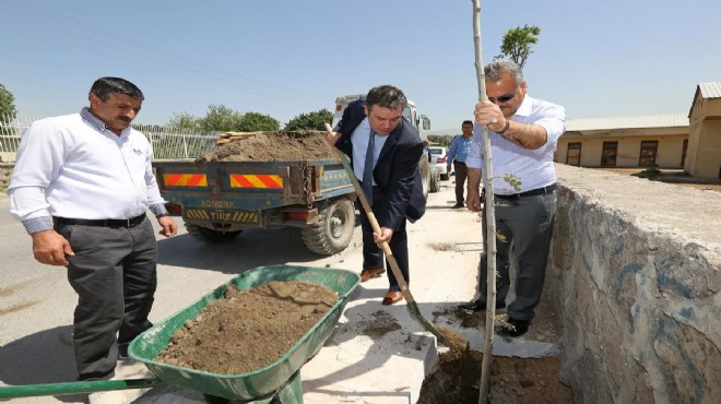 Buca da yeşil uyanış: Hedef 3 yılda 20 bin ağaç!