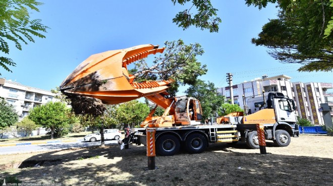 Buca Metrosu’nun yapımında ağaçlara özel koruma