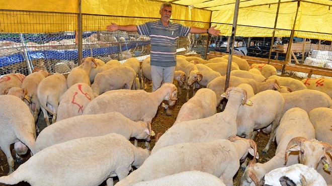 Büyükşehir den Kurban Bayramı için bağış kampanyası