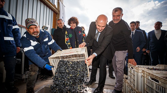 Büyükşehir den zeytin hamlesi... Bir  kale  daha yola çıktı!