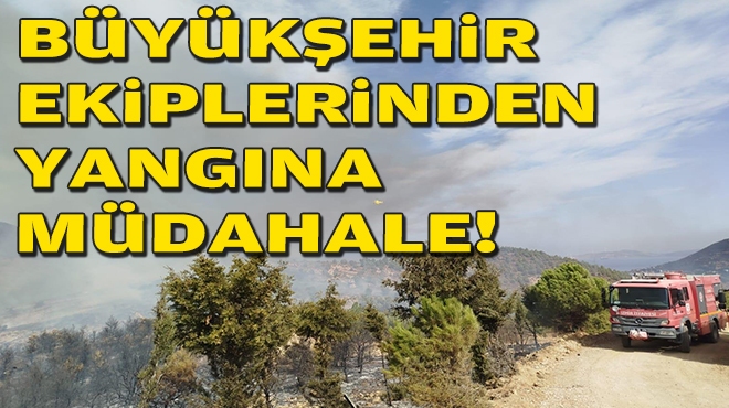 Büyükşehir ekiplerinden yangına müdahale!