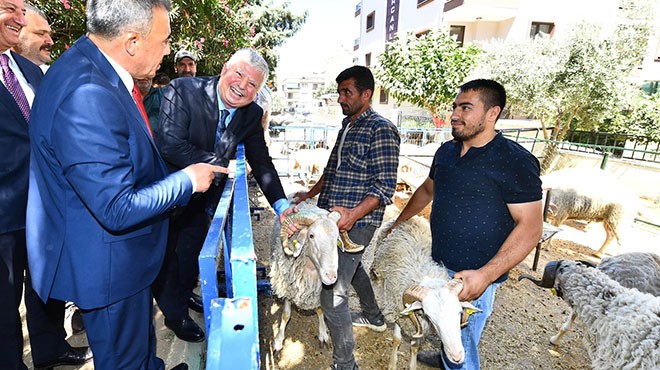 Büyükşehir in projesi bir ilçede daha yüzleri güldürdü!