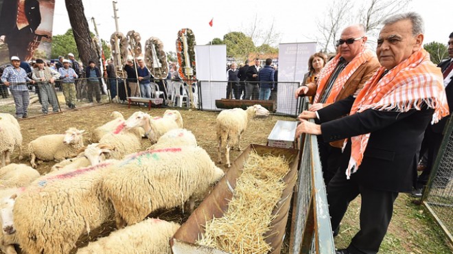 Büyükşehir umudu büyüttü: Sürüsüne bereket!