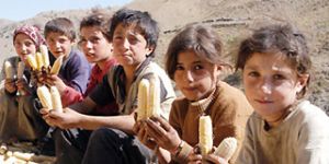  Türkiye’de 4 çocuktan biri açlık sınırında 