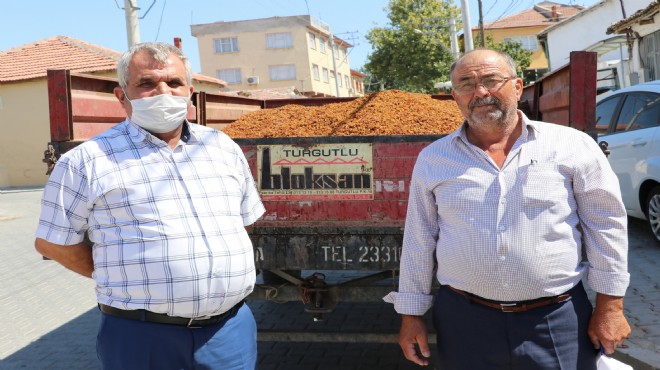 Çalınan üzümler sahibine geri döndü