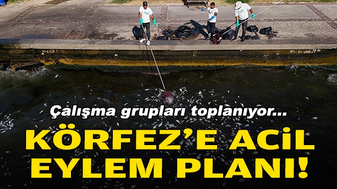 Çalışma grupları toplanıyor... Körfez'e acil eylem planı!