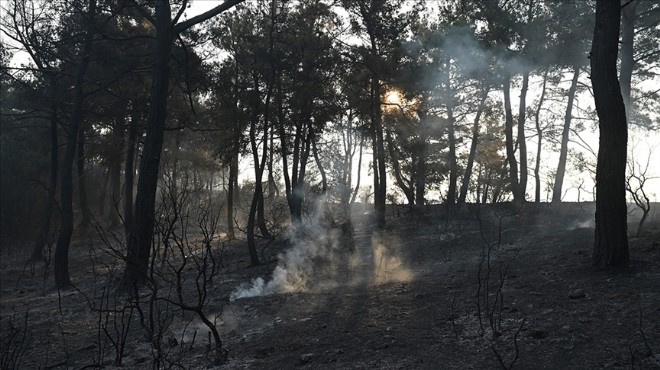 Çanakkale yangını kontrol altında!