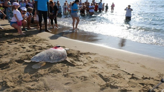 Caretta Tuba nın sinyali kesildi