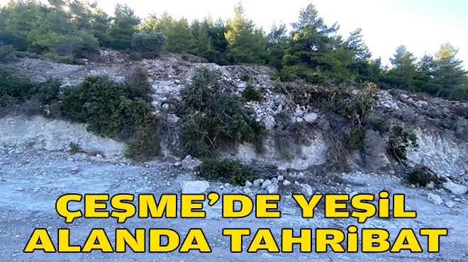 Çeşme’de yeşil alanda tahribat!