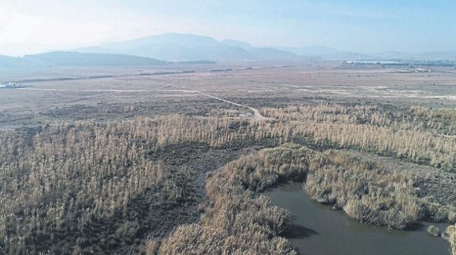 Çevre düzeni planına Dikili ayarı!