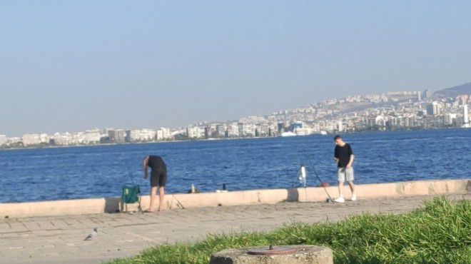 Cezayı, kirliliği umursamadılar: Ölü balığa olta!