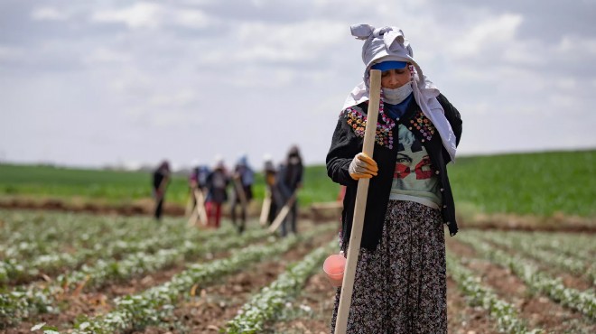 Çiftçilerin kredi borcu yüzde 88 arttı!