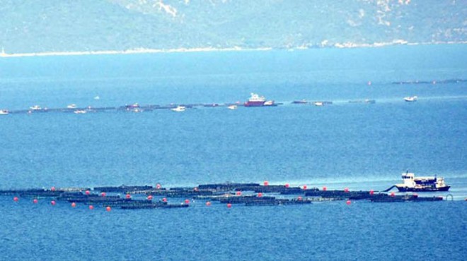 CHP’li Bakan’dan ‘balık çiftlikleri’ soruları