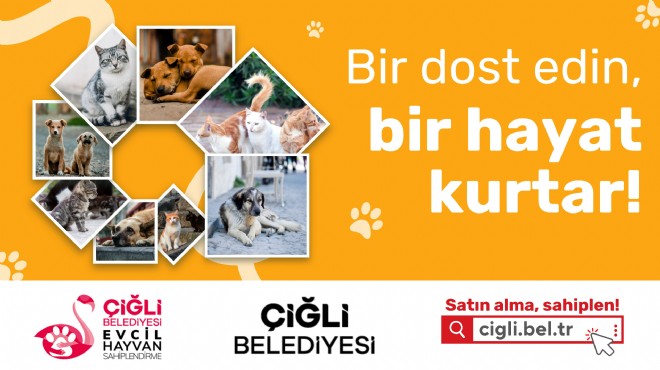 Çiğli Belediyesi can dostlara sahip çıkıyor