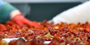 Bergama’yı dünyayla buluşturan  kurutulmuş domates  formülü