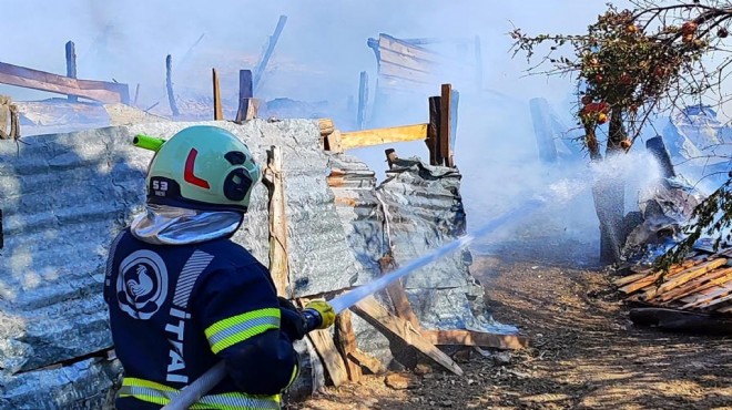 Denizli de ahır yangını: 93 küçükbaş öldü