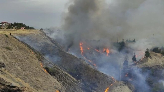 Denizli de korkutan orman yangını: Kontrol altına alındı!