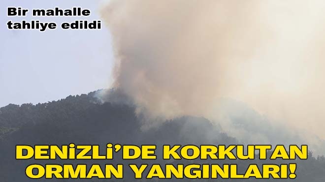 Denizli'de korkutan orman yangınları!