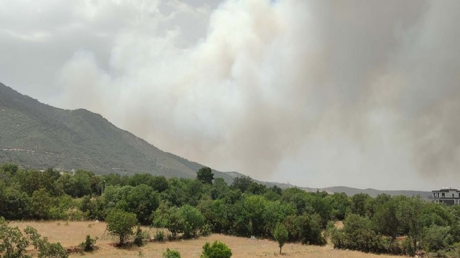 Denizli de orman yangını