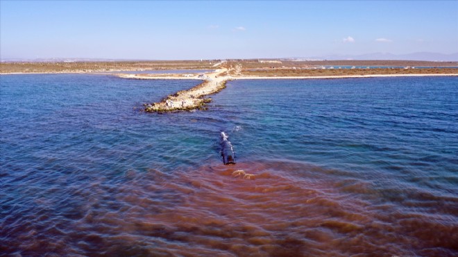 Didim de çevre kirliliği: Deniz kahverengiye büründü