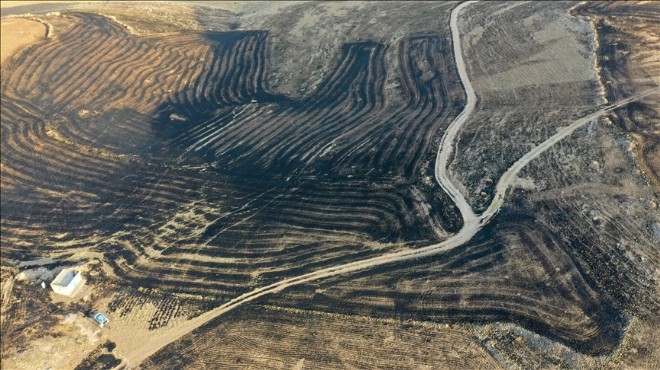 Diyarbakır ve Mardin deki yangında ölü sayısı 14 oldu!