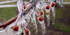 Meteoroloji den Ege ye don uyarısı!