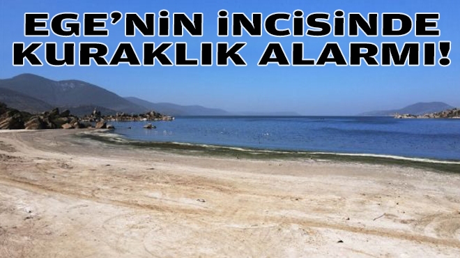 Ege'nin incisinde kuraklık alarmı!