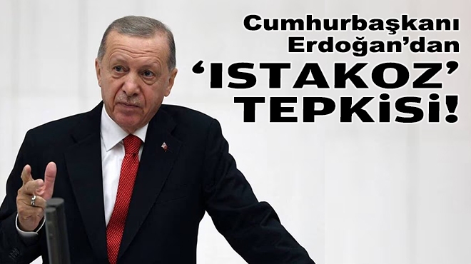 Erdoğan'dan 'ıstakoz' tepkisi!
