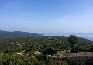 Urla villalarında ilk gece keşfinde fotoğraf krizi! 