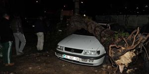 İzmir de yağmur ve lodos hayatı olumsuz etkiledi