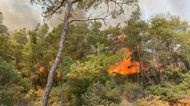 Fethiye de orman yangını: Rüzgarın etkisiyle büyüdü!