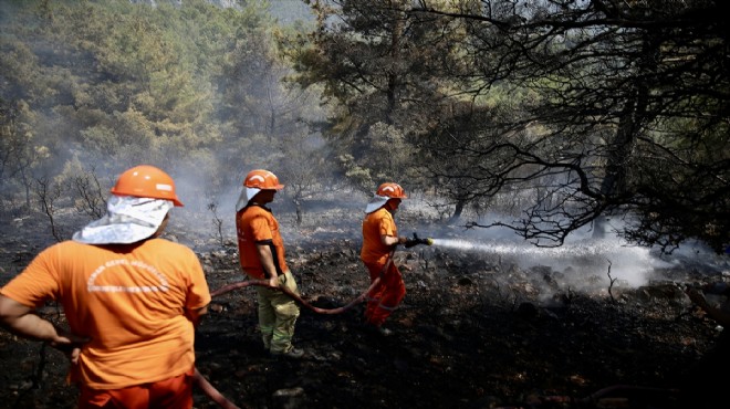 Fethiye deki orman yangını söndürüldü