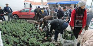 Güzelbahçe de yangın mağduru köylülere fidan