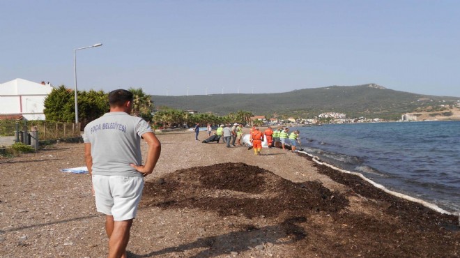 Gemi atıklarını bıraktı... Foça sahilleri kapatıldı!