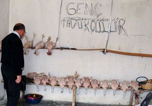 Ankara da şoke eden görüntüler: Genç tavukçuluk!