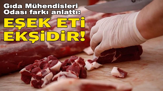 Gıda Mühendisleri Odası farkı anlattı: Eşek eti ekşidir!