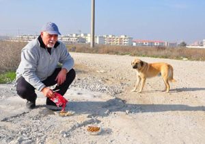 Sokak hayvanları onun yolunu gözlüyor