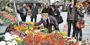 İzmir de  sevgili ye 500 bin gül alındı