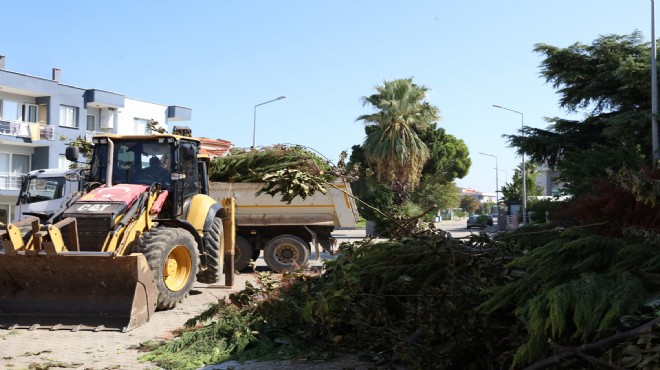 Güzelbahçe de safra seferberliği