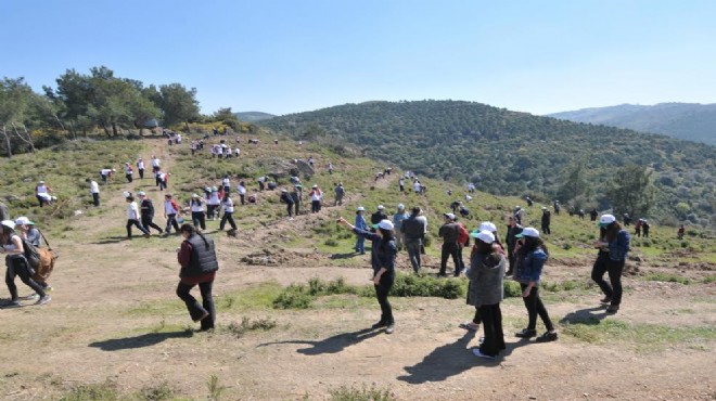 Güzelbahçe’de yanan orman yeniden yeşerecek