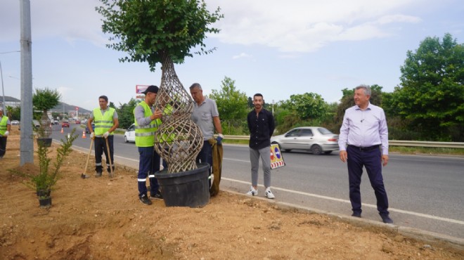 Güzelbahçe de refüj düzenlemesi