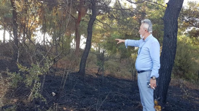 Güzelbahçe’de korkutan yangın... Alevler milletvekilinin evine ulaştı