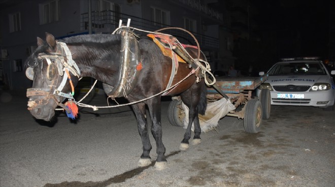 İlginç olay: Alkollü at arabası sürücüsüne ceza yağdı!