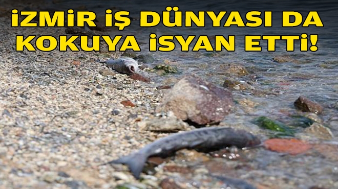 İş dünyası da kokuya isyan etti!